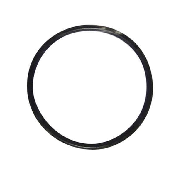 Alpine Pumps Accessories Cyclone 10300 O-Ring Alpine O-Ring for Cyclone Pumps