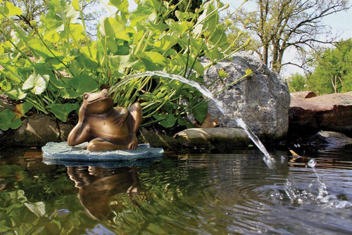 Aquascape Fountains & Pond Decor Aquascape Lazy Frog on Lily Pad Spitter w/pump