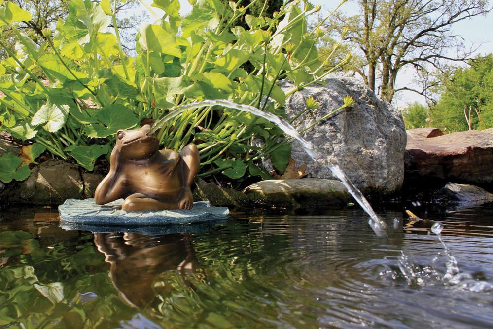 Aquascape Fountains & Pond Decor Aquascape Lazy Frog on Lily Pad Spitter w/pump