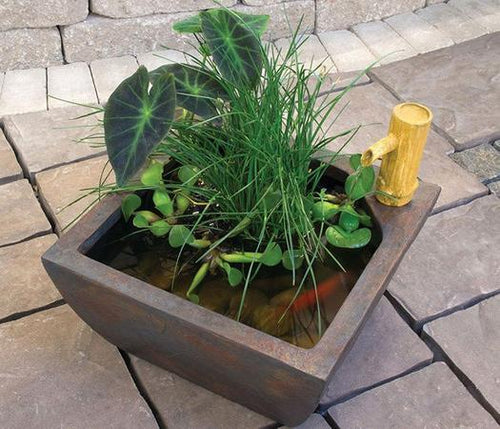 Aquascape Pond Kits Aquascape Aquatic Patio Pond Kit