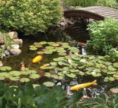 AquascapePRO Pond Kits Small 8 Ft x 11 Ft Pond Kit w/AquaSurge 3000 (GYFW) AquascapePRO Pond Kits