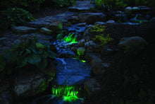 Load image into Gallery viewer, Atlantic Water Gardens Pond Lighting/Foggers Atlantic Water Gardens 3-6 Watt Color Changing LED Spotlight