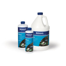 Load image into Gallery viewer, Atlantic Water Gardens Water Treatments 16 ounce Atlantic Water Gardens Bio-Max+ - All Season Beneficial Bacteria