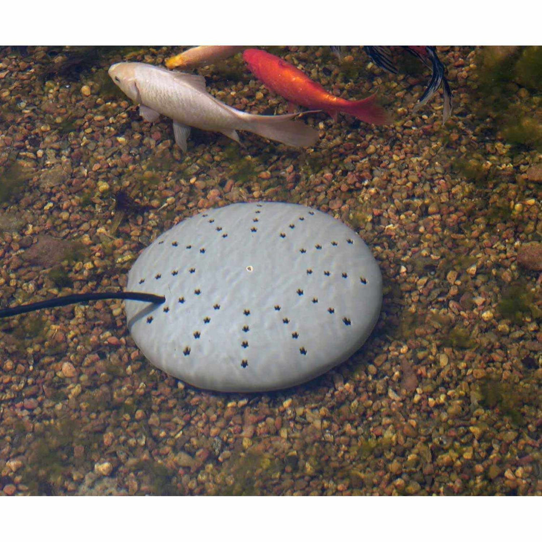 K&H Manufacturing Water Treatments K&H 300Watt Submersible Heater