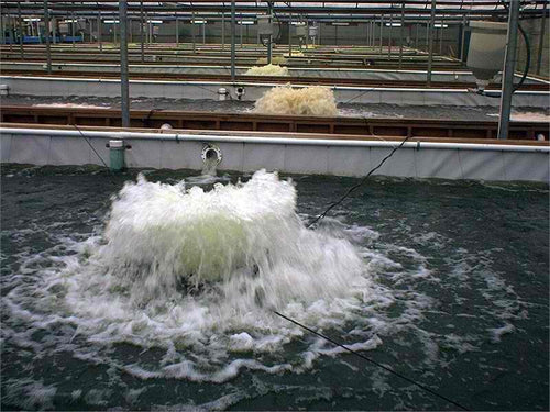 Kasco Aeration 1/2HP Aerator (50 Ft) No Float Kasco 2400A 1/2HP Aerator No Float