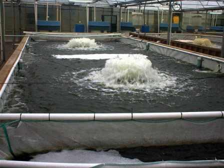 Kasco Aeration 3/4HP Aerator (50 Ft) Btm Scr Kasco 3400AF 3/4HP Aerator Bottom Screen