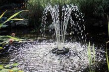 Load image into Gallery viewer, Kasco Fountains &amp; Pond Decor With Lights (50 Ft) Kasco 1/4HP Fountain JF Series (1400JF and 1400JFL)