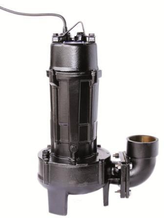 Shinmaywa Pumps ShinMaywa 2HP Single Phase