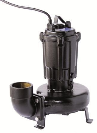 Shinmaywa Pumps ShinMaywa 2HP Three Phase